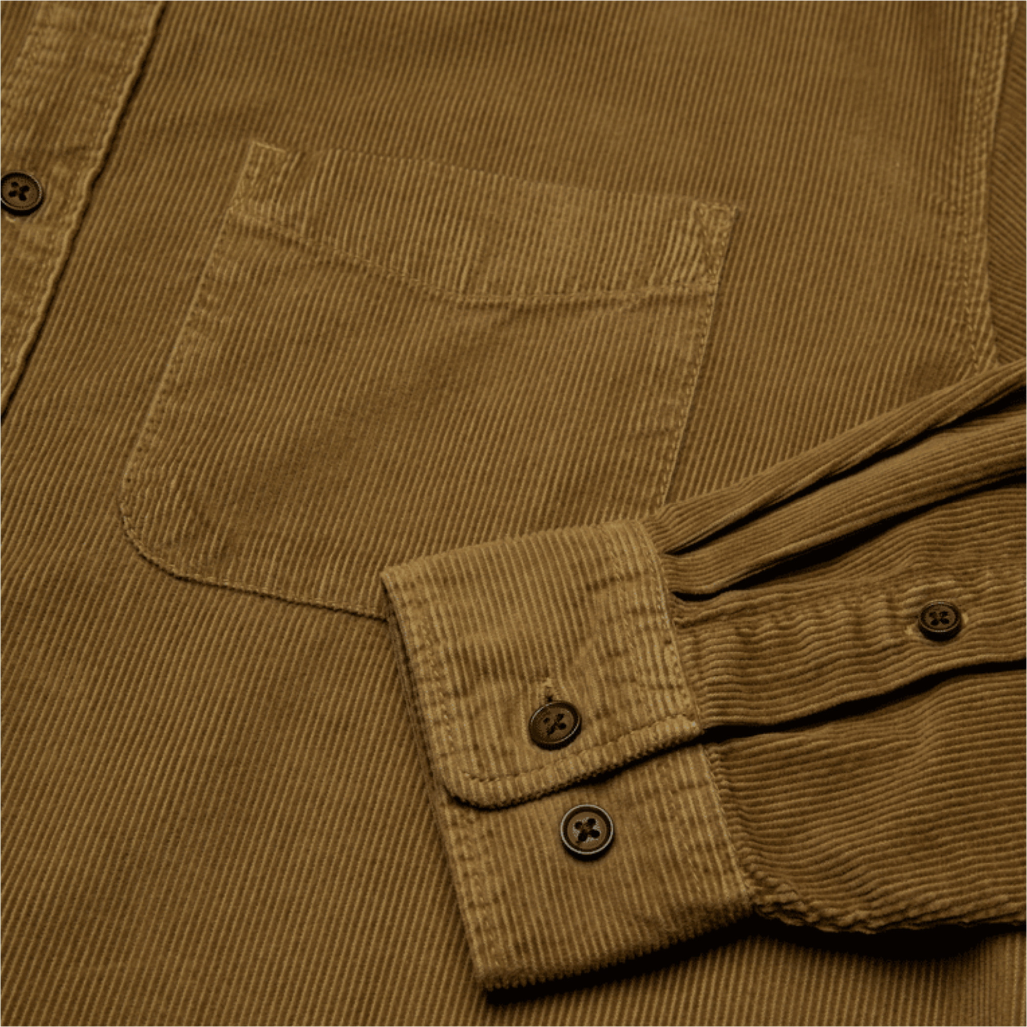 2026 Element Mens Button Down Regular Corduroy Shirt ELYWT00187 - Sepia